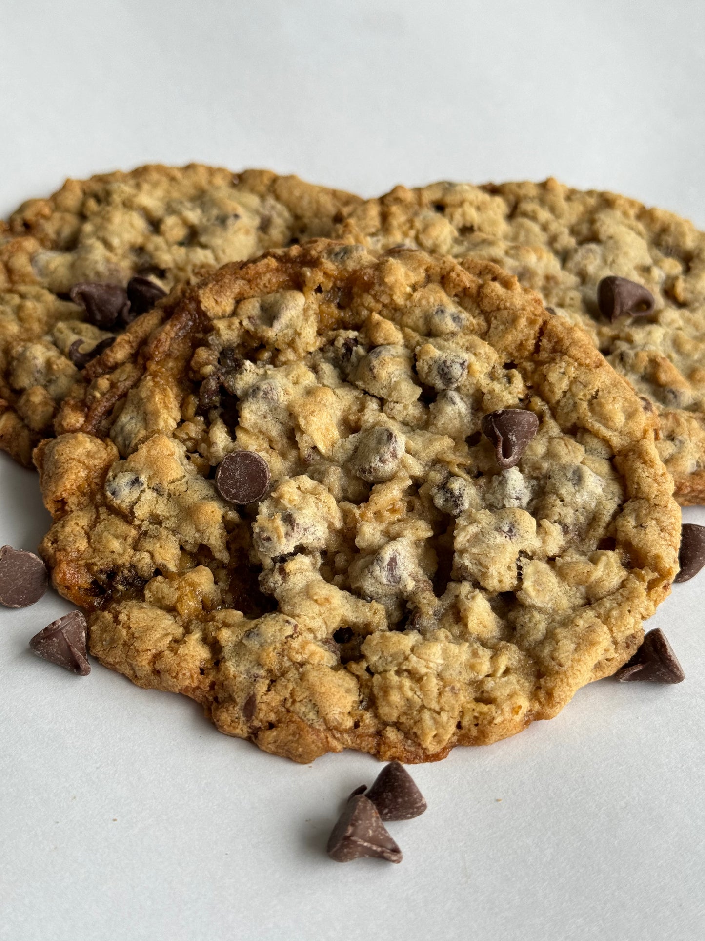 Oatmeal Chocolate Chip Cookie