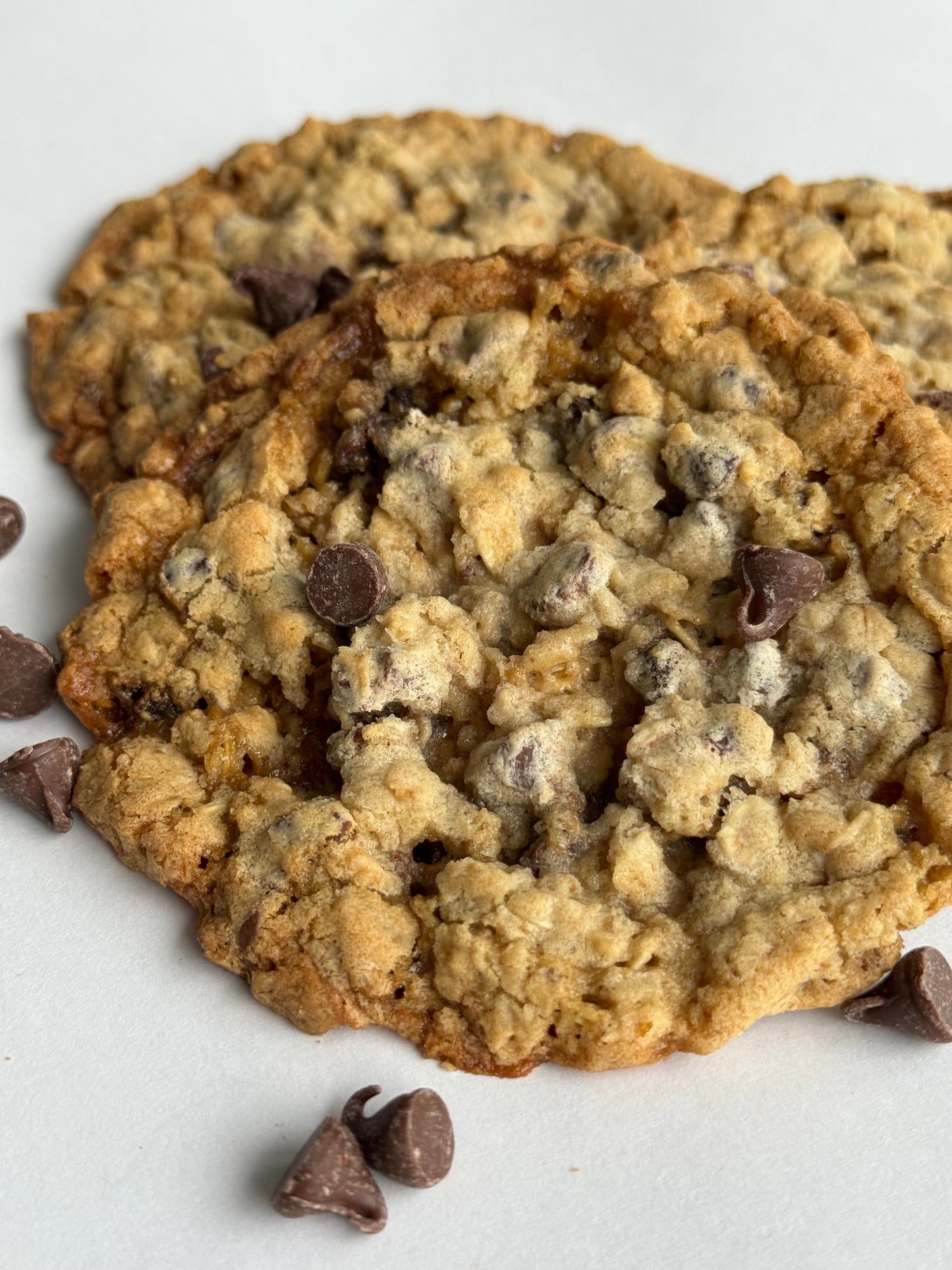 Oatmeal Chocolate Chip Cookie